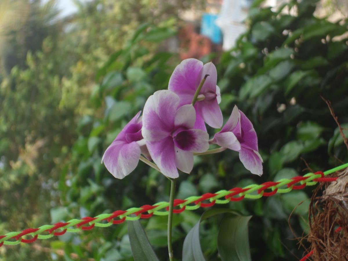 New Heaven Beach Resort Varkala Exterior foto